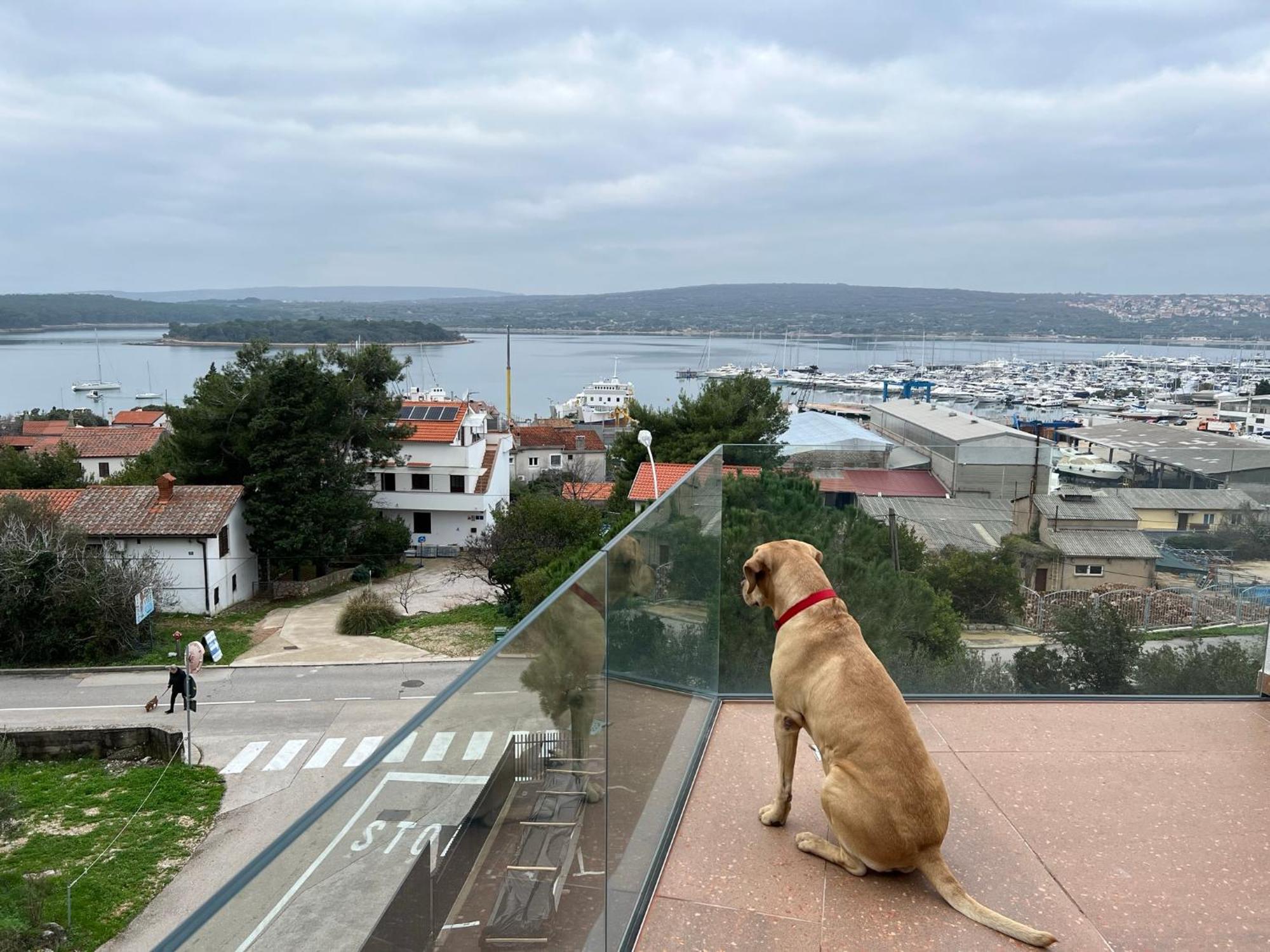Panorama Penthouse Punat Dış mekan fotoğraf